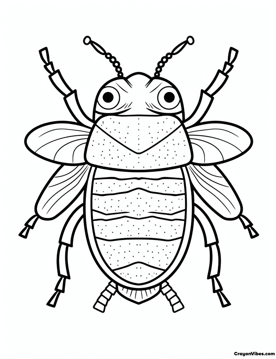 Beetle Coloring Pages Free Printable for Kids & Adults