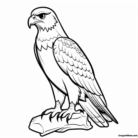 falcon coloring pages