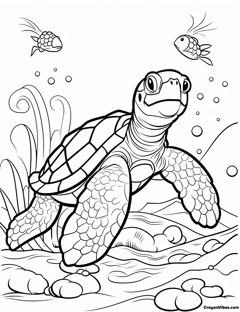 Tortoise Coloring Pages Free Printable for Kids and Adults